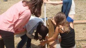 Quatres enfants s'entraident pour construire une barrière